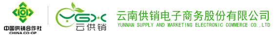 云供销电子商务股份有限公司